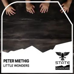 Little Wonders - Single by Peter Miethig album reviews, ratings, credits