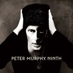 Ninth by Peter Murphy album reviews, ratings, credits