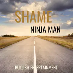 Shame - Single by Ninja Man album reviews, ratings, credits