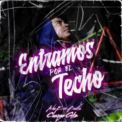 Entramos por el Techo (feat. Ache erre beats) - Single by Cheque Glz album reviews, ratings, credits