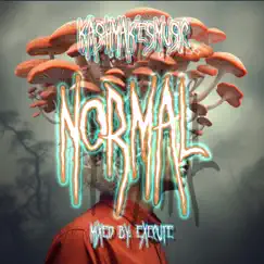 NOrMaL - Single by Kashmakesmusic album reviews, ratings, credits