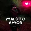 Maldito Amor - Single album lyrics, reviews, download