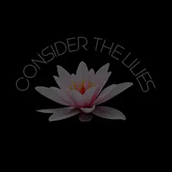 Consider the Lilies - Single by Beatarcheologzt album reviews, ratings, credits