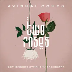 Sincerity (Comment by Avishai Cohen) Song Lyrics