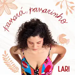 Passará, passarinho - Single by Lari album reviews, ratings, credits