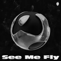 See Me Fly - Single by Wy album reviews, ratings, credits