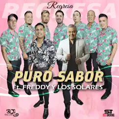 Regresa (feat. STUDIO S&T RECORDING) - Single by Puro Sabor, Freddy y los Solares & CDI RECORDS S.A. album reviews, ratings, credits