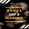 Nunca Voy a Olvidarte (Acustic) album lyrics, reviews, download