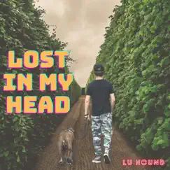 Lost In My Head - Single by Lu Hound album reviews, ratings, credits