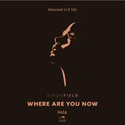 Where Are You Now (MonoJack VIP Edit) - Single by Simon Field & iiola album reviews, ratings, credits