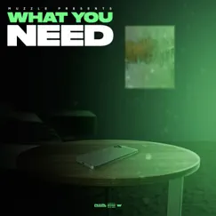 What You Need - Single by Muzzle album reviews, ratings, credits