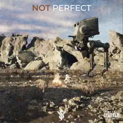 Not Perfect - Single by Yung Shak album reviews, ratings, credits