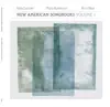 Greg Saunier/Mary Halvorson/Ron Miles: New American Songbooks, Volume 1 album lyrics, reviews, download