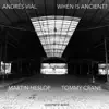 When Is Ancient? (feat. Martin Heslop & Tommy Crane) album lyrics, reviews, download