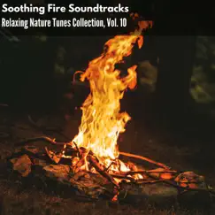 Night Forest Camp Fire Tracks Song Lyrics