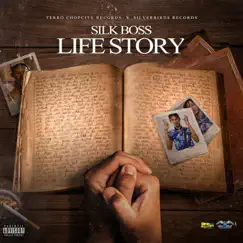 Life Story by Silk Boss, Terro Don & Silverbirds Records album reviews, ratings, credits