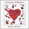 Memory of Love - Single album lyrics, reviews, download