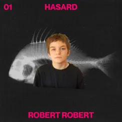 Hasard (feat. Ariane Moffatt) - Single by Robert Robert album reviews, ratings, credits