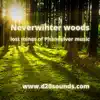 Neverwinter Woods - Single album lyrics, reviews, download