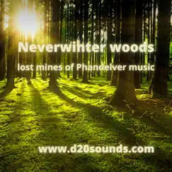 Neverwinter Woods - Single by D20sounds album reviews, ratings, credits