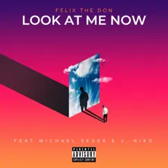 Look At Me Now (feat. Michael Seger & J Niko) Song Lyrics