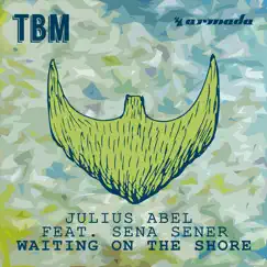 Waiting on the Shore (feat. Sena Sener) - Single by Julius Abel album reviews, ratings, credits