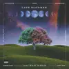 Late Bloomer (feat. Know13dge) song lyrics