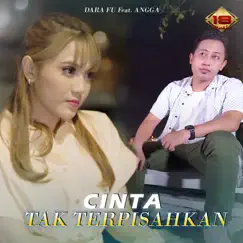 Cinta Tak Terpisahkan (feat. Angga) - Single by Dara Fu album reviews, ratings, credits