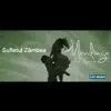 Sufletul zambea - Single album lyrics, reviews, download