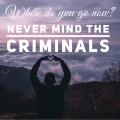 Where Do You Go Now - Single by Never Mind the Criminals album reviews, ratings, credits