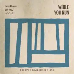 While You Run (feat. Bel-Ami, David James & Tane) Song Lyrics