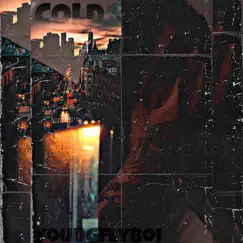 Cold - Single by YoungFlyboi album reviews, ratings, credits