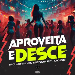 Aproveita e Desce (feat. Mc DG) Song Lyrics