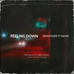 FEELING DOWN (feat. NAYME) [DR8K3YBEATS Remix] Song Lyrics