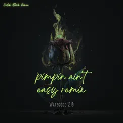 Pimpin Ain't Easy (Kodak Black Remix) - Single by Watzgood 2.0 album reviews, ratings, credits