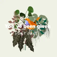 You've Been Given - Single by Don't Do It album reviews, ratings, credits