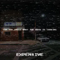 Can You Smell What the Rock Is Cooking - Single by Expen$ive album reviews, ratings, credits