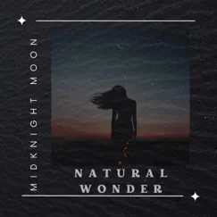 Natural Wonder - Single by MidKnighT MooN album reviews, ratings, credits