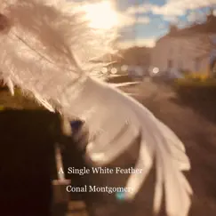 A Single White Feather - Single by Conal Montgomery album reviews, ratings, credits