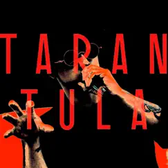 Tarantula - Single by Paris Wilds album reviews, ratings, credits