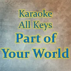 Part of Your World (Instrumental) Song Lyrics