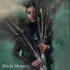 Birds Music - Single album lyrics, reviews, download