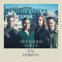 New Horizon (feat. Gunilla Törnfeldt, Maria Winther, Alexander Lövmark, Jakob Sollevi, Carl Bagge, Svante Söderqvist & Calle Rasmusson) by Stockholm Voices album reviews, ratings, credits