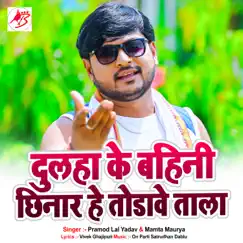 Dulaha ke Bahini Chinar He Todawe Tala - Single by Pramod Lal Yadav & Mamta Singh Maurya album reviews, ratings, credits