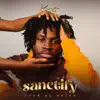 Sanctify - Single album lyrics, reviews, download