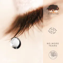 No More Tears - Single by Edend album reviews, ratings, credits