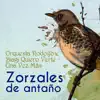 Zorzales de Antaño - Orquesta Rodolfo Biagi - Quiero Verte Una Vez Más album lyrics, reviews, download