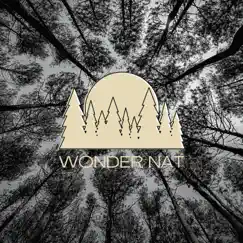Natural Order of Nature - Single by Wonder Nat album reviews, ratings, credits