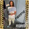 FREESTYLE - Single album lyrics, reviews, download