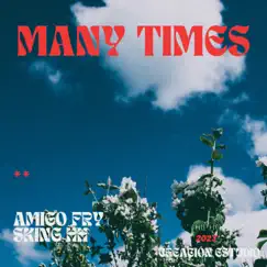 Many Times - Single by Amigo Fry & Sking HH album reviews, ratings, credits